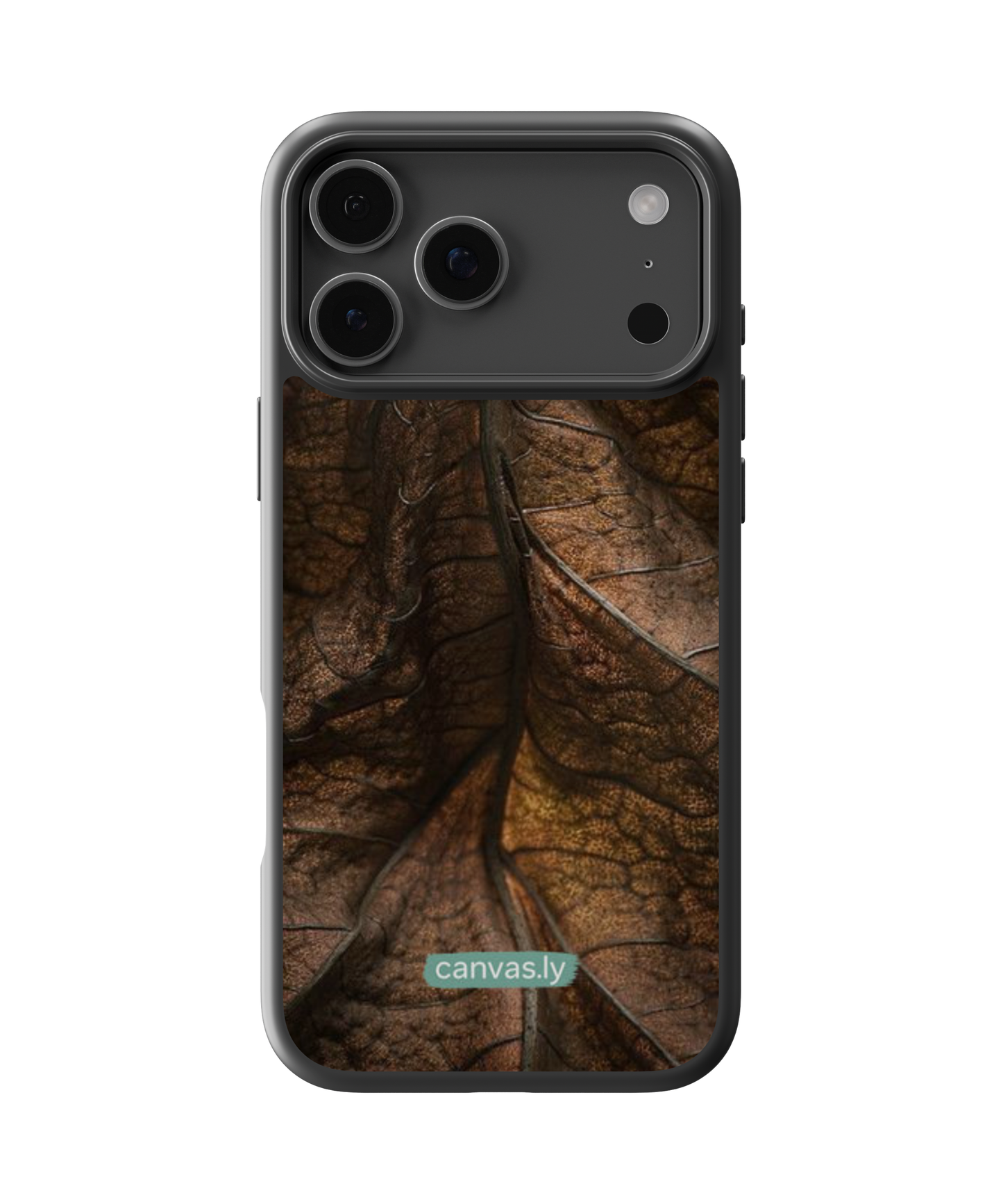 Canvasly Unbreakable Glass Case | Nature Case - N001