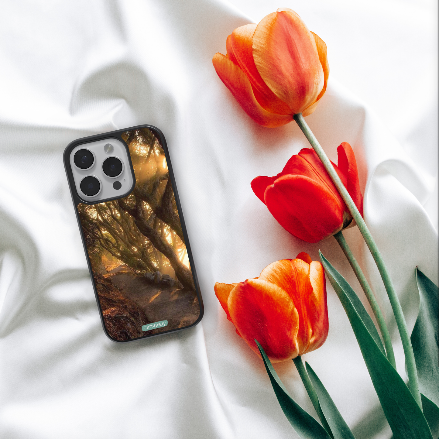 Canvasly Unbreakable Glass Case | Nature Case - N003