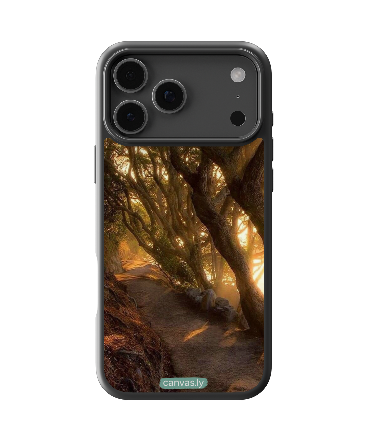 Canvasly Unbreakable Glass Case | Nature Case - N003