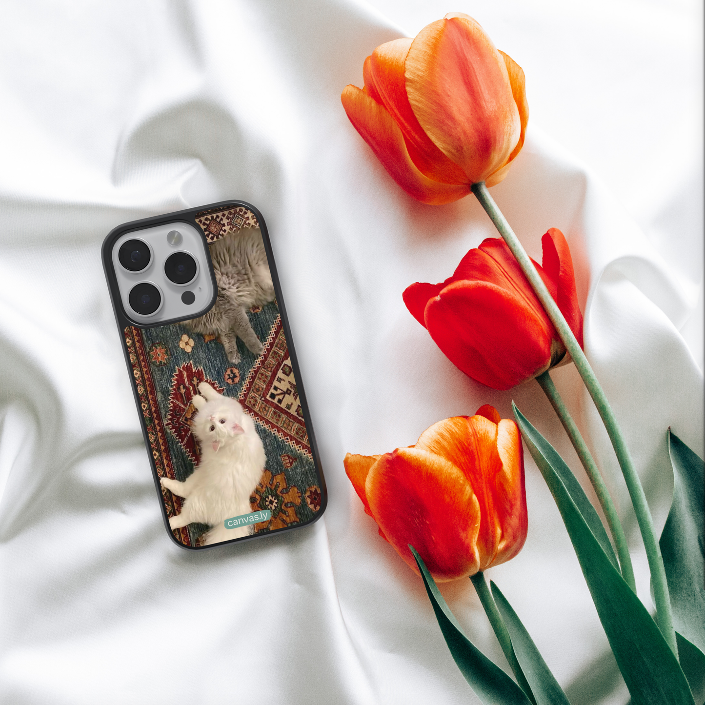 Canvasly Unbreakable Glass Case | Aesthetic Case - F005