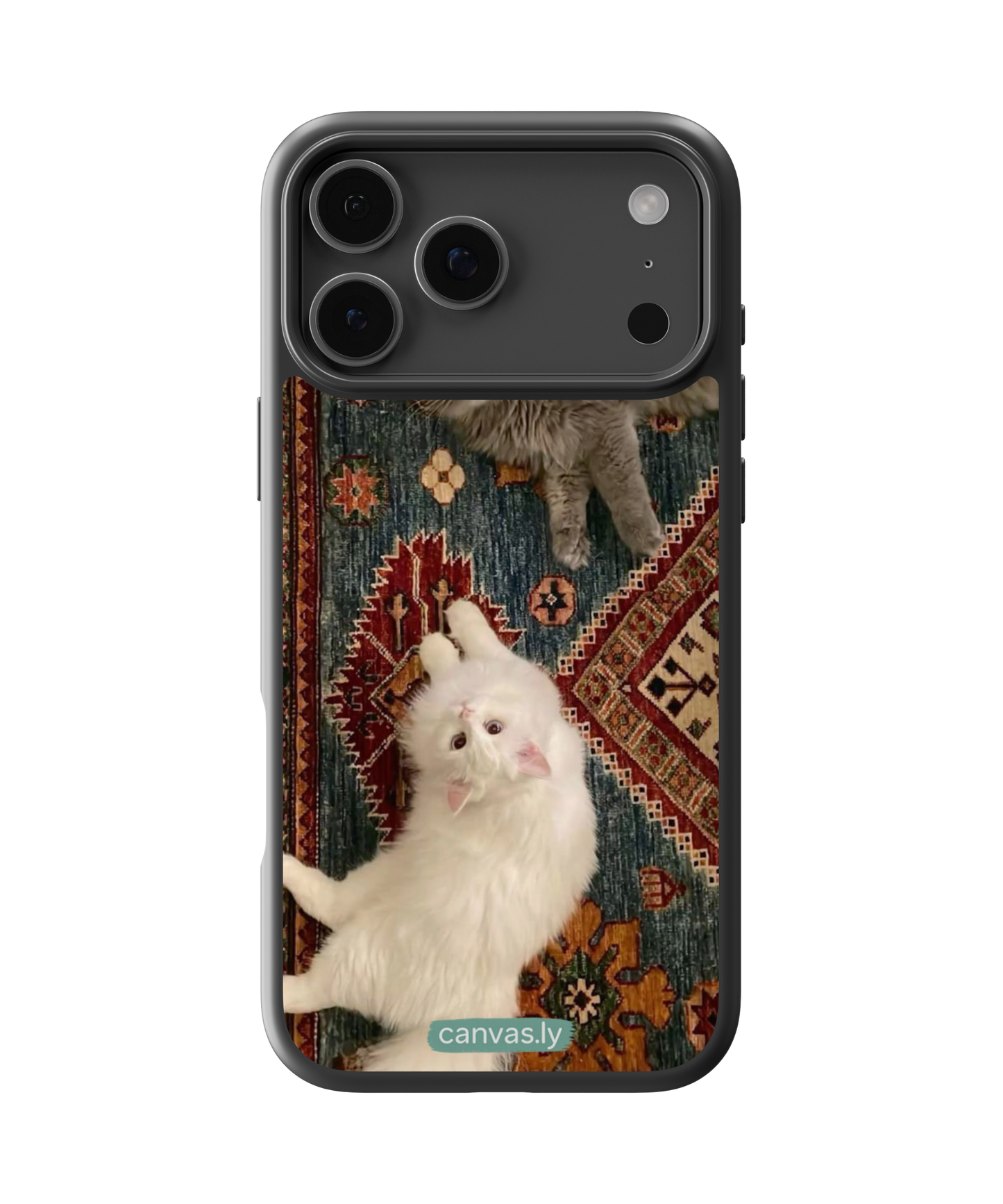 Canvasly Unbreakable Glass Case | Aesthetic Case - F005