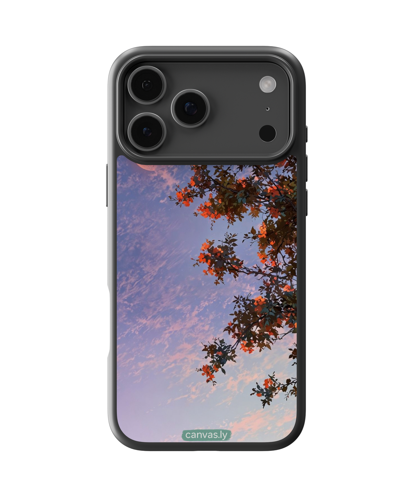 Canvasly Unbreakable Glass Case | Nature Case - N008