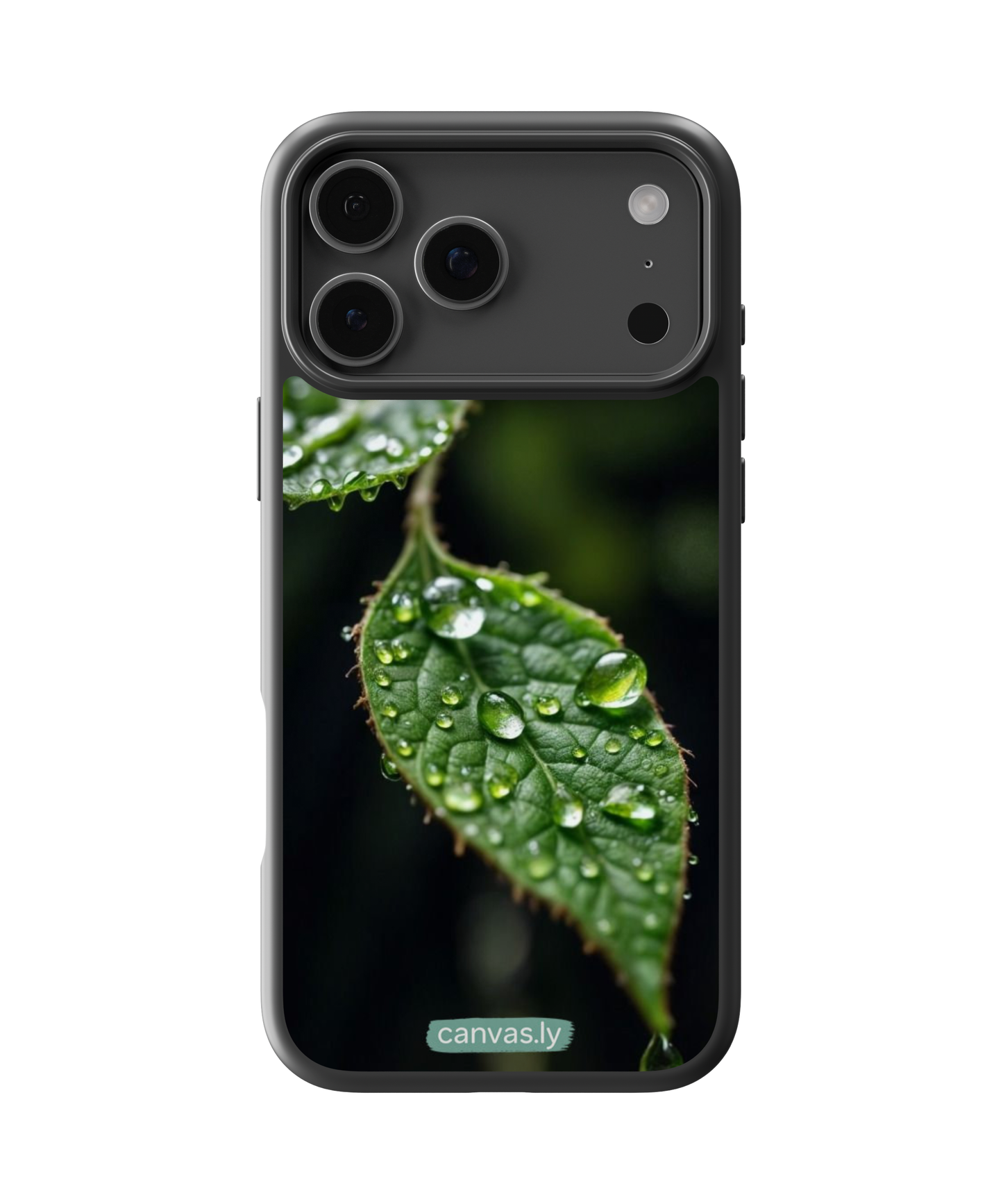 Canvasly Unbreakable Glass Case | Nature Case - N013