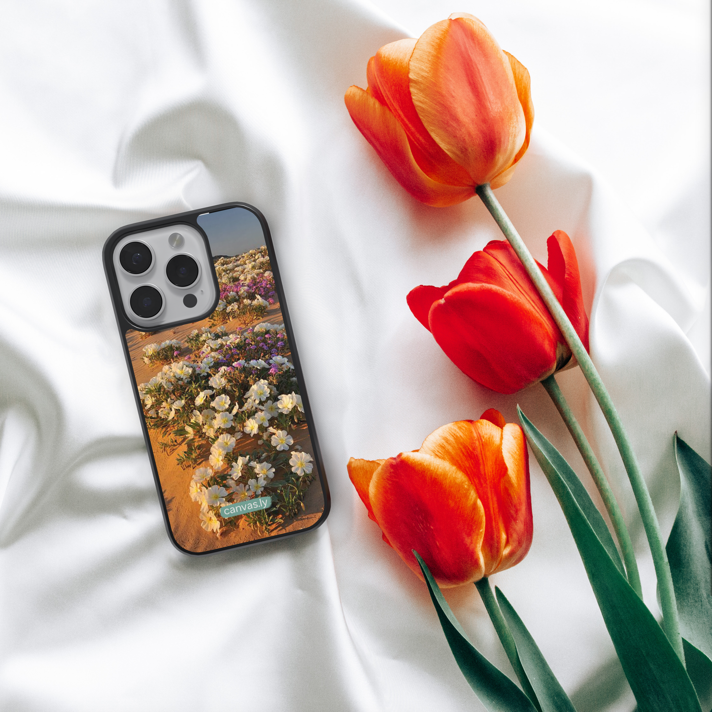 Canvasly Unbreakable Glass Case | Nature Case - N015
