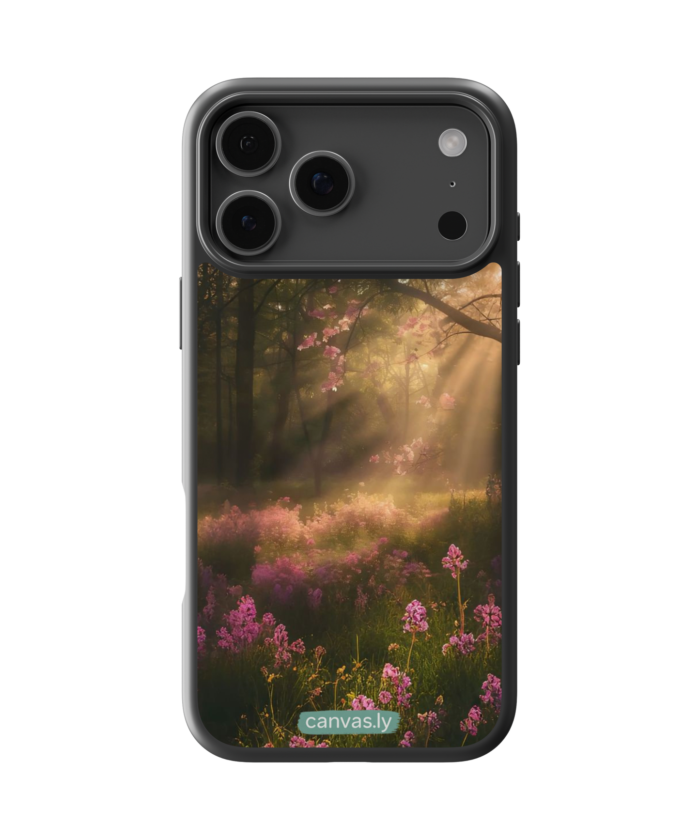 Canvasly Unbreakable Glass Case | Nature Case - N004