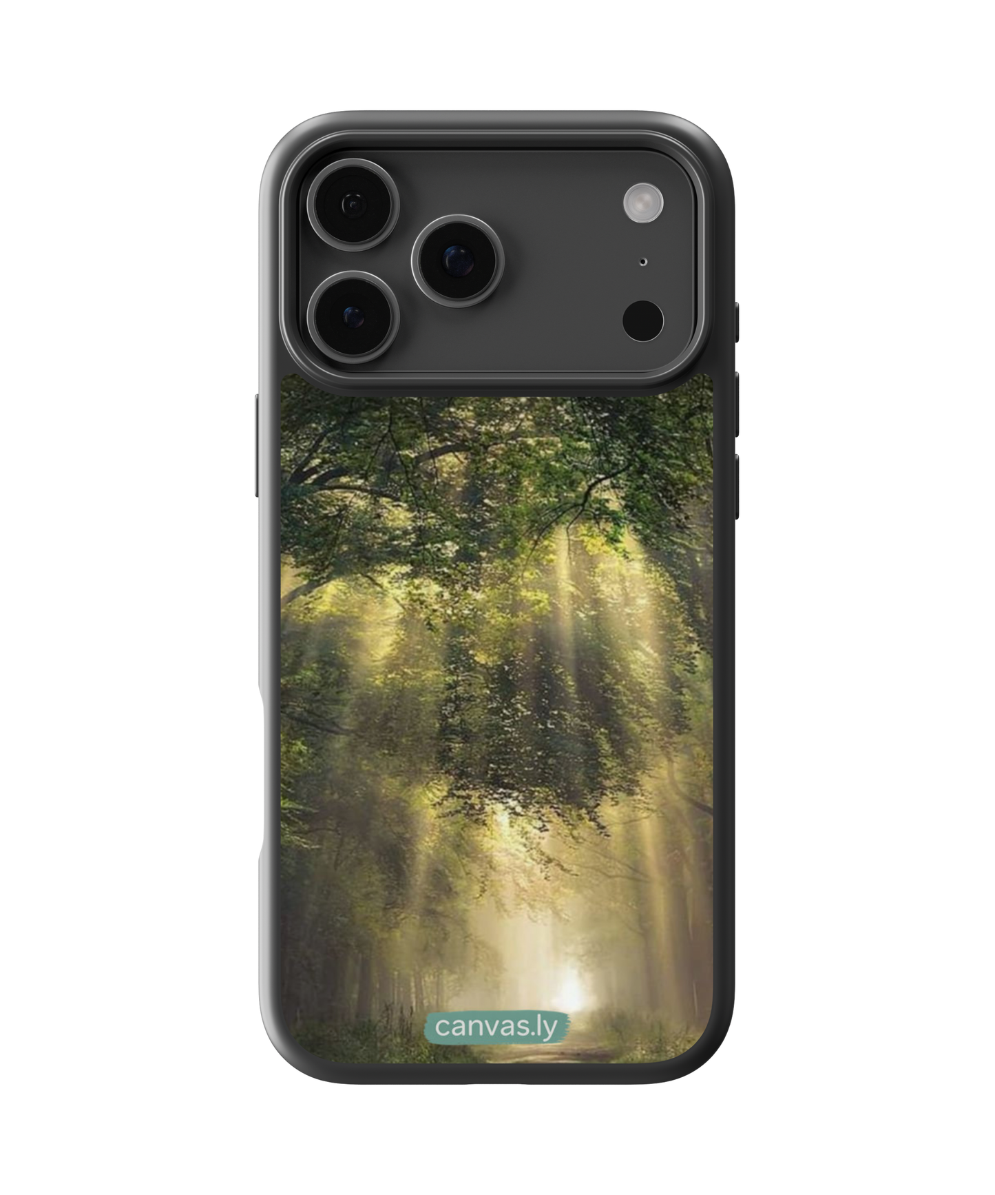 Canvasly Unbreakable Glass Case | Nature Case - N006