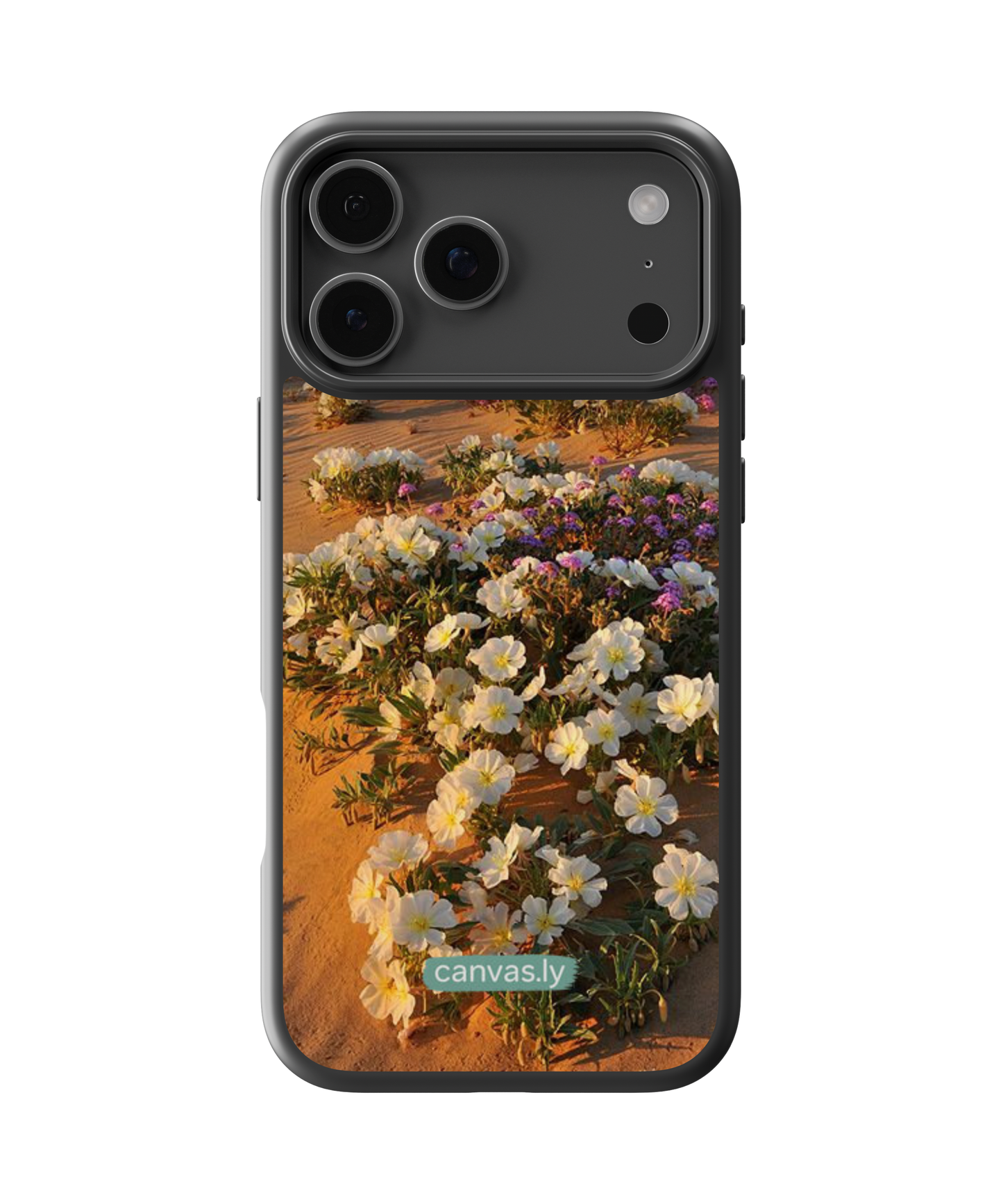Canvasly Unbreakable Glass Case | Nature Case - N015